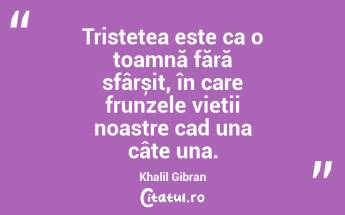 Tristețea este ca o toamnă fără sfârșit, în care frunzele vieții noastre cad una câte una. Khalil Gibran...