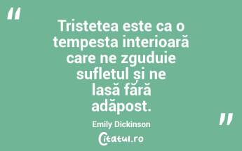Tristețea este ca o tempesta interioară care ne zguduie sufletul și ne lasă fără adăpost. Emily Dickinson...