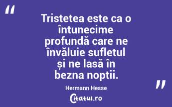 Tristețea este ca o întunecime profundă care ne învăluie sufletul și ne lasă în bezna nopții. Hermann Hesse...
