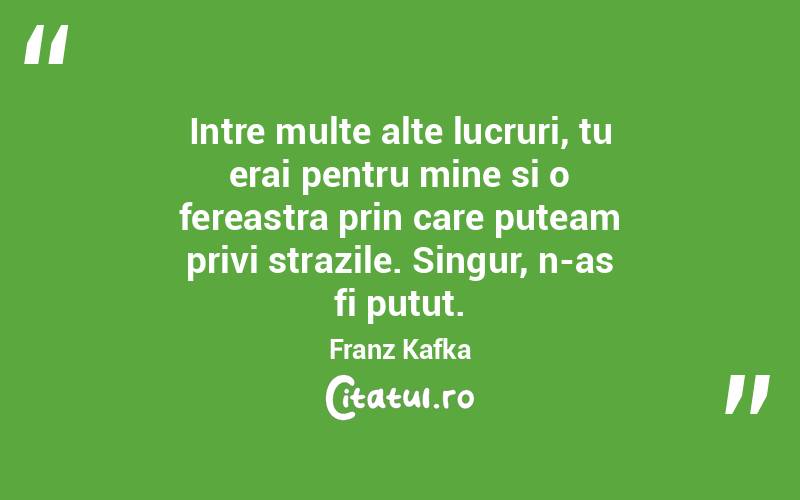 Intre multe alte lucruri, tu erai pentru mine si o fereastra prin care puteam privi strazile. Singur, n-as fi putut. Franz Kafka
