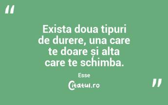 Exista doua tipuri de durere, una care te doare și alta care te schimba. Esse...