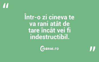 Într-o zi cineva te va rani atât de tare încât vei fi indestructibil....