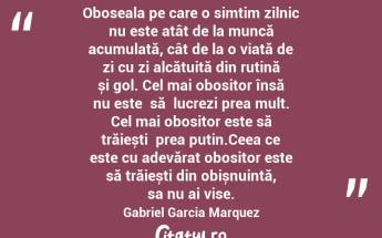 Oboseala pe care o simțim zilnic nu este atât de la muncă acumulată, cât de la o viață de zi cu zi alcătuită din rutină și gol. Cel mai obositor însă nu este  să  lucrezi prea mult. Cel mai obositor este să trăiești  prea puțin.Ceea ce este cu adevărat obositor este să trăiești din obișnuință, sa nu ai vise. Gabriel Garcia Marquez...