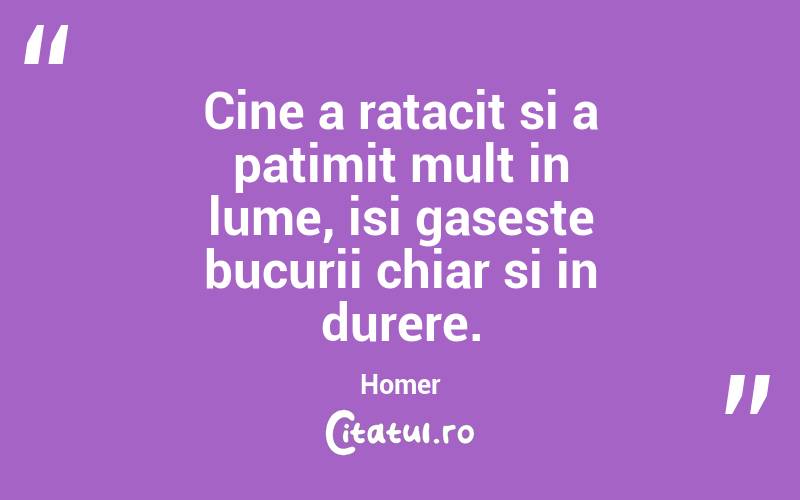 Cine a ratacit si a patimit mult in lume, isi gaseste bucurii chiar si in durere. Homer