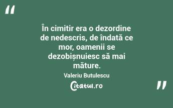 În cimitir era o dezordine de nedescris, de îndată ce mor, oamenii se dezobișnuiesc să mai măture. Valeriu Butulescu...