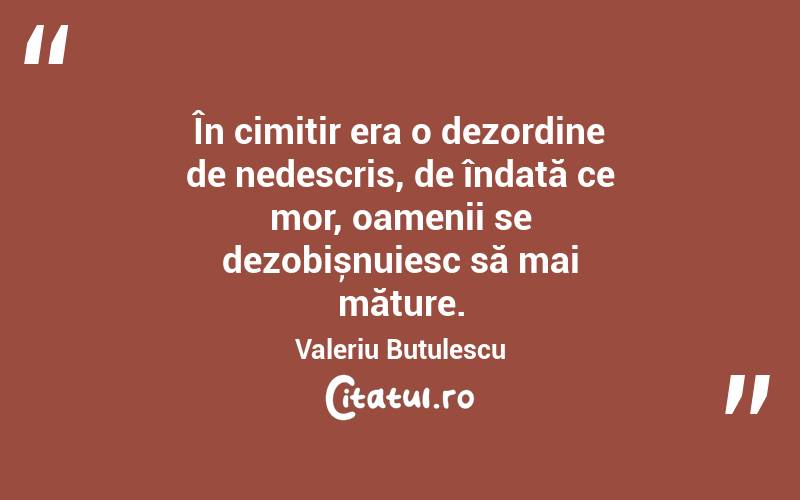 În cimitir era o dezordine de nedescris, de îndată ce mor, oamenii se dezobișnuiesc să mai măture. Valeriu Butulescu
