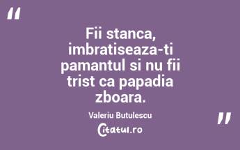 Fii stanca, imbratiseaza-ti pamantul si nu fii trist ca papadia zboara. Valeriu Butulescu...
