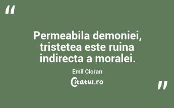  Permeabila demoniei, tristetea este ruina indirecta a moralei. Emil Cioran...