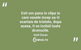 Esti om pana in clipa in care oasele incep sa-ti scartaie de tristete, dupa aceea, ti se inchid toate drumurile. Emil Cioran...