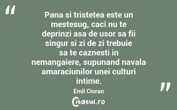 Pana si tristetea este un mestesug, caci nu te deprinzi asa de usor sa fii singur si zi de zi trebuie sa te caznesti in nemangaiere, supunand navala amaraciunilor unei culturi intime. Emil Cioran...