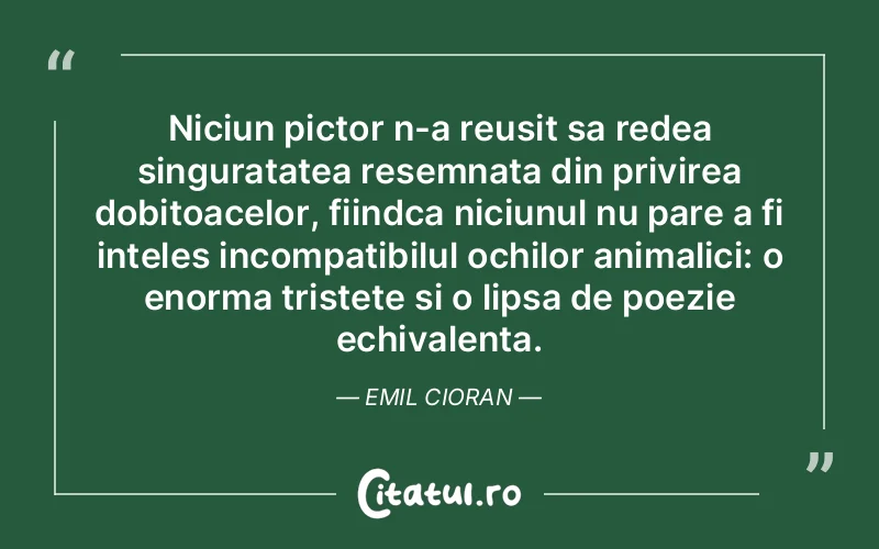 Niciun pictor n-a reusit sa redea singuratatea resemnata din privirea dobitoacelor, fiindca niciunul nu pare a fi inteles incompatibilul ochilor animalici: o enorma tristete si o lipsa de poezie echivalenta. Emil Cioran