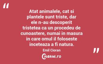 Atat animalele, cat si plantele sunt triste, dar ele n-au descoperit tristetea ca un procedeu de cunoastere, numai in masura in care omul il foloseste inceteaza a fi natura. Emil Cioran...