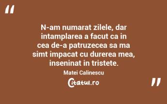   N-am numarat zilele, dar intamplarea a facut ca in cea de-a patruzecea sa ma simt impacat cu durerea mea, inseninat in tristete. Matei Calinescu...