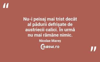 Nu-i peisaj mai trist decât al pădurii defrișate de austriecii calici. În urmă nu mai rămâne nimic. Nicolae Mareș...