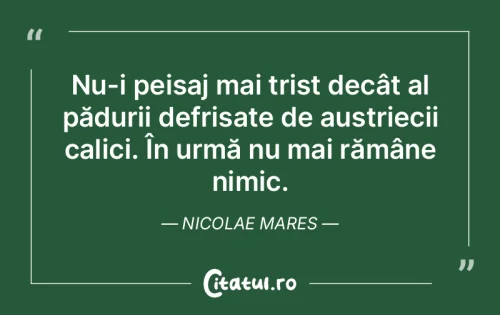 Citat Triste - Citatul.ro