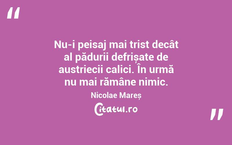 Nu-i peisaj mai trist decât al pădurii defrișate de austriecii calici. În urmă nu mai rămâne nimic. Nicolae Mareș
