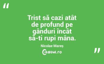 Trist să cazi atât de profund pe gânduri încât să-ți rupi mâna. Nicolae Mareș...