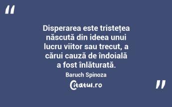  Disperarea este tristeţea născută din ideea unui lucru viitor sau trecut, a cărui cauză de îndoială a fost înlăturată. Baruch Spinoza...
