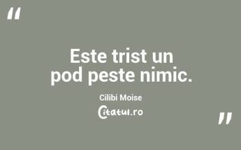 Este trist un pod peste nimic. Cilibi Moise...