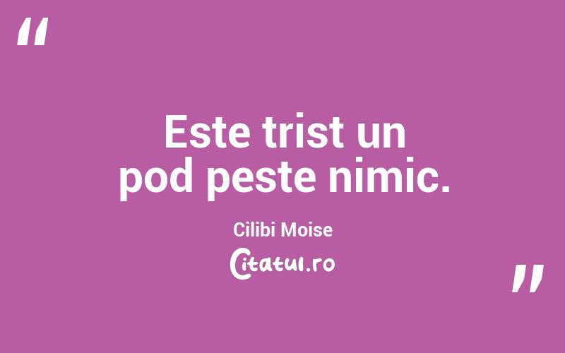 Este trist un pod peste nimic. Cilibi Moise

