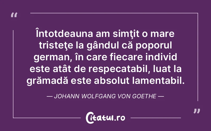 Întotdeauna am simţit o mare tristeţe la gândul că poporul german, în care fiecare individ este atât de respecatabil, luat la grămadă este absolut lamentabil. Johann Wolfgang von Goethe
