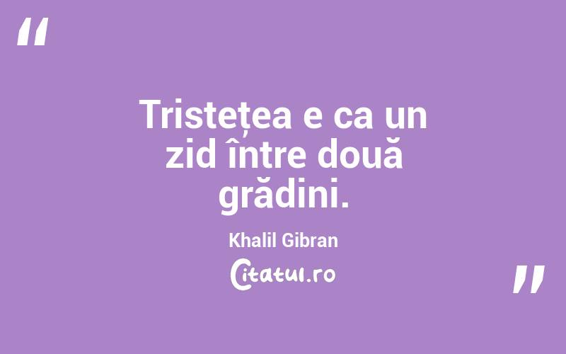  Tristeţea e ca un zid între două grădini. Khalil Gibran
