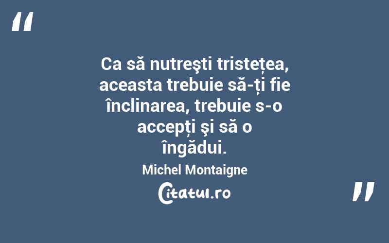 Ca să nutreşti tristeţea, aceasta trebuie să-ţi fie înclinarea, trebuie s-o accepţi şi să o îngădui. Michel Montaigne
