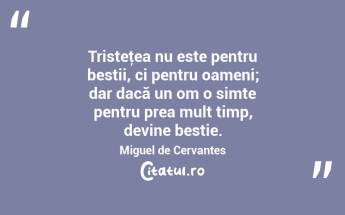 Tristeţea nu este pentru bestii, ci pentru oameni; dar dacă un om o simte pentru prea mult timp, devine bestie. Miguel de Cervantes...