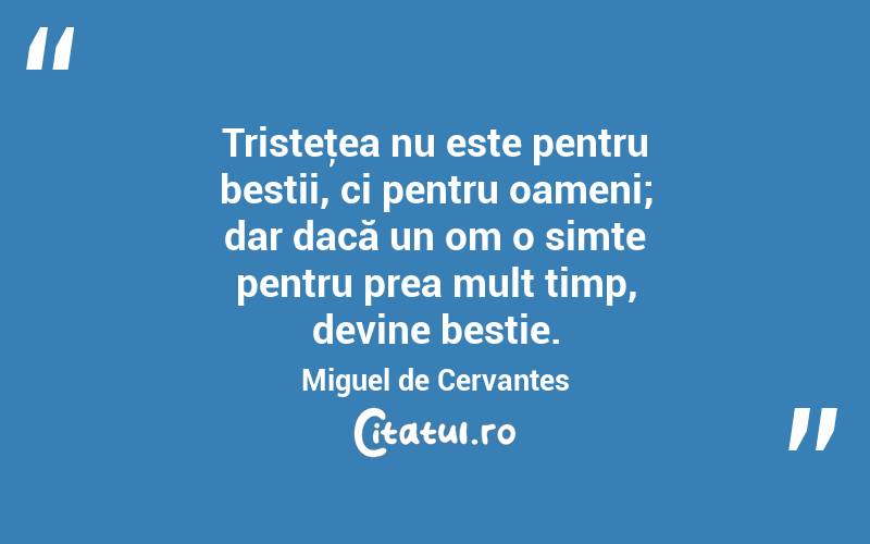Tristeţea nu este pentru bestii, ci pentru oameni; dar dacă un om o simte pentru prea mult timp, devine bestie. Miguel de Cervantes
