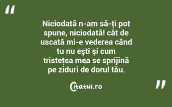 Niciodată n-am să-ţi pot spune, niciodată! cât de uscată mi-e vederea când tu nu eşti şi cum tristeţea mea se sprijină pe ziduri de dorul tău.  ...