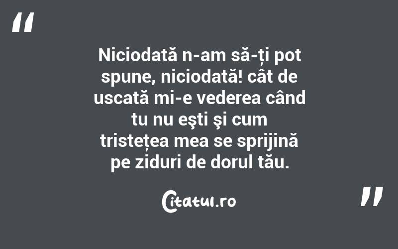 Niciodată n-am să-ţi pot spune, niciodată! cât de uscată mi-e vederea când tu nu eşti şi cum tristeţea mea se sprijină pe ziduri de dorul tău.  

