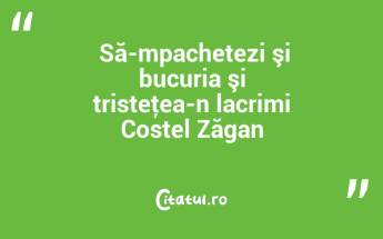  Să-mpachetezi şi bucuria şi tristeţea-n lacrimi Costel Zăgan...