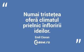  Numai tristeţea oferă climatul prielnic înfloririi ideilor. Emil Cioran...