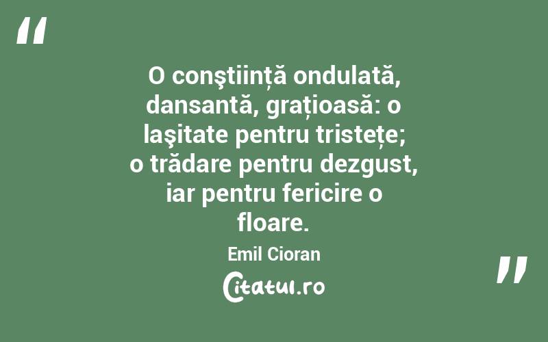 O conştiinţă ondulată, dansantă, graţioasă: o laşitate pentru tristeţe; o trădare pentru dezgust, iar pentru fericire o floare. Emil Cioran