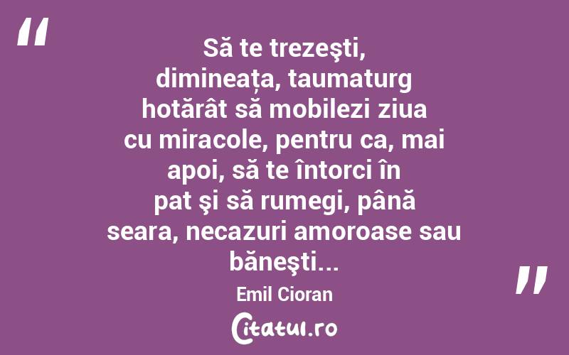 Să te trezeşti, dimineaţa, taumaturg hotărât să mobilezi ziua cu miracole, pentru ca, mai apoi, să te întorci în pat şi să rumegi, până seara, necazuri amoroase sau băneşti... Emil Cioran