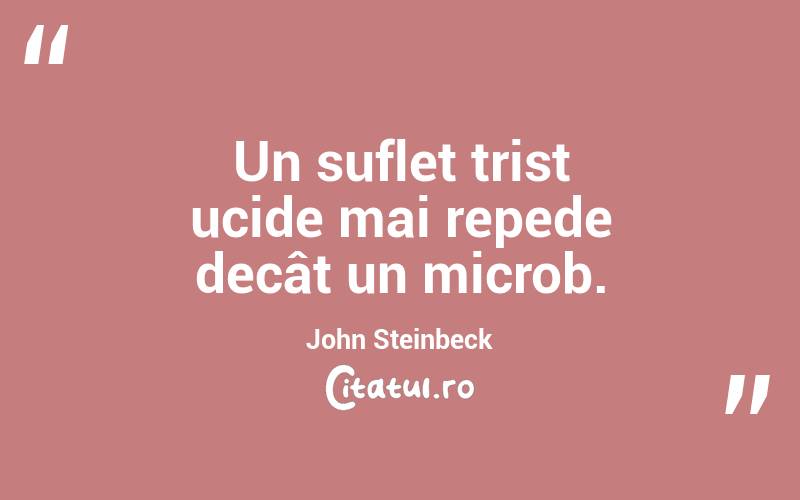 Un suflet trist ucide mai repede decât un microb. John Steinbeck
