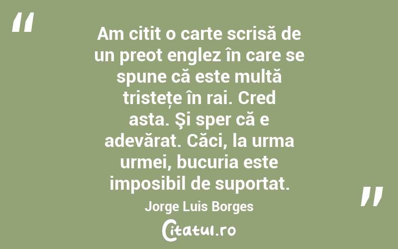   Am citit o carte scrisă de un preot englez în care se spune că este multă tristeţe în rai. Cred asta. Şi sper că e adevărat. Căci, la urma urmei, bucuria este imposibil de suportat. Jorge Luis Borges
