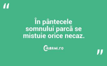 În pântecele somnului parcă se mistuie orice necaz.  ...