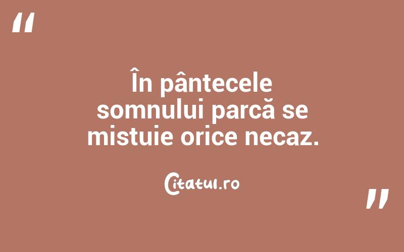 În pântecele somnului parcă se mistuie orice necaz.  
