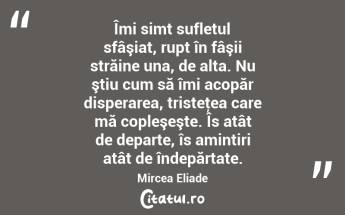 Îmi simt sufletul sfâşiat, rupt în fâşii străine una, de alta. Nu ştiu cum să îmi acopăr disperarea, tristeţea care mă copleşeşte. Îs atât de departe, îs amintiri atât de îndepărtate. Mircea Eliade...