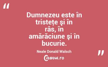 Dumnezeu este în tristeţe şi în râs, în amărăciune şi în bucurie. Neale Donald Walsch...