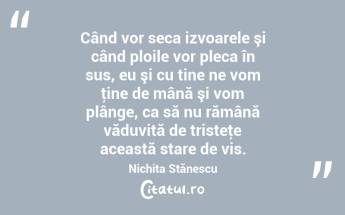 Când vor seca izvoarele şi când ploile vor pleca în sus, eu şi cu tine ne vom ţine de mână şi vom plânge, ca să nu rămână văduvită de tristeţe această stare de vis. Nichita Stănescu...