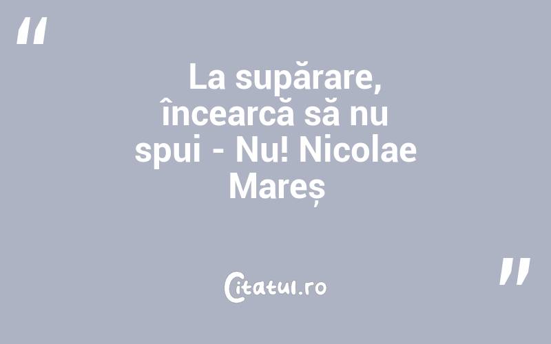   La supărare, încearcă să nu spui - Nu! Nicolae Mareș

