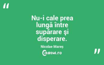 Nu-i cale prea lungă între supărare şi disperare. Nicolae Mareș...
