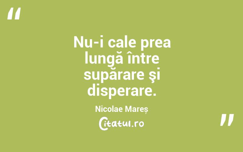 Nu-i cale prea lungă între supărare şi disperare. Nicolae Mareș
