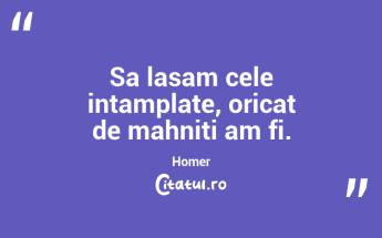 Sa lasam cele intamplate, oricat de mahniti am fi. Homer...