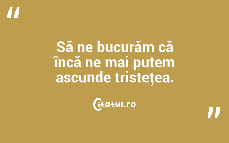 Să ne bucurăm că încă ne mai putem ascunde tristeţea.  
