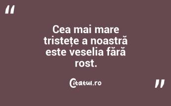 Cea mai mare tristeţe a noastră este veselia fără rost.  ...