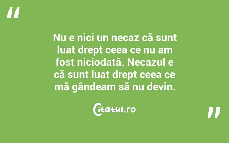 Nu e nici un necaz că sunt luat drept ceea ce nu am fost niciodată. Necazul e că sunt luat drept ceea ce mă gândeam să nu devin.  

