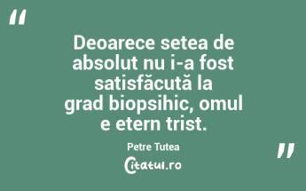   Deoarece setea de absolut nu i-a fost satisfăcută la grad biopsihic, omul e etern trist. Petre Țuțea...